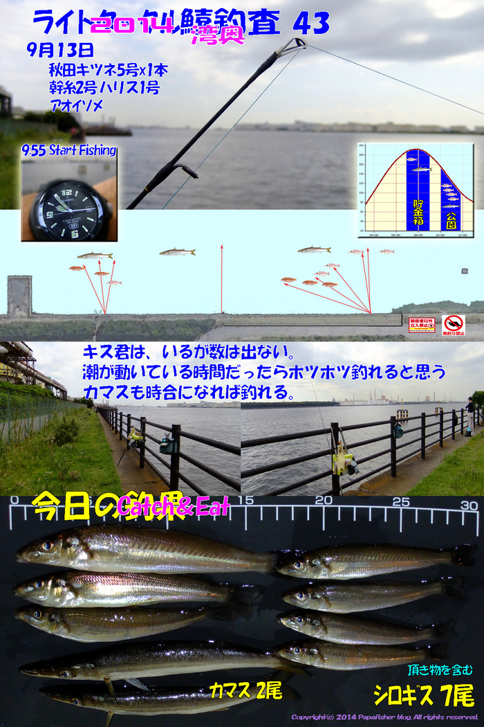 2014　ライトタックル鱚釣査43