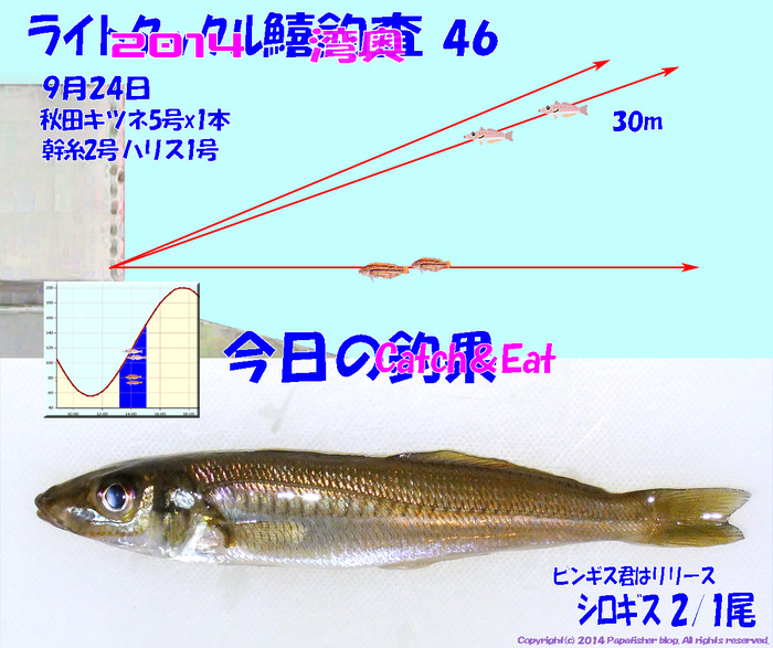 2014　ライトタックル鱚釣査46