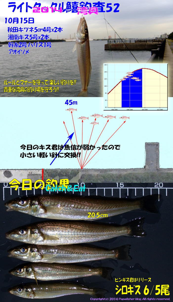 2014　ライトタックル鱚釣査52