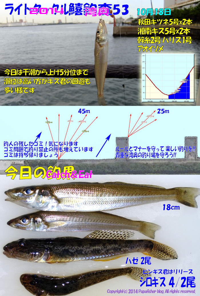 2014　ライトタックル鱚釣査53
