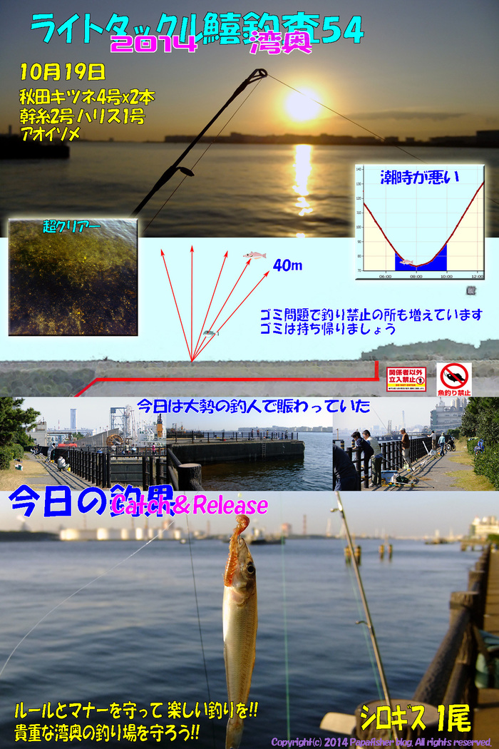 2014　ライトタックル鱚釣査54