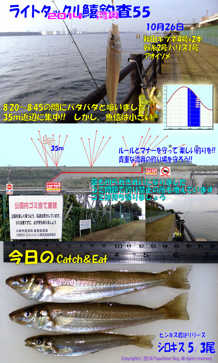 2014　ライトタックル鱚釣査55