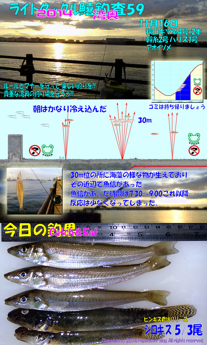 2014　ライトタックル鱚釣査59