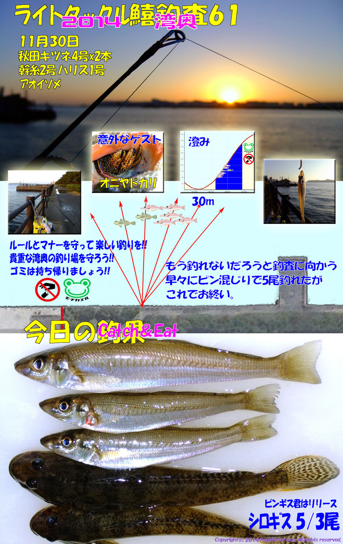 2014　ライトタックル鱚釣査61