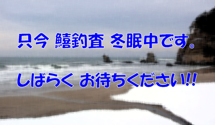 冬眠中