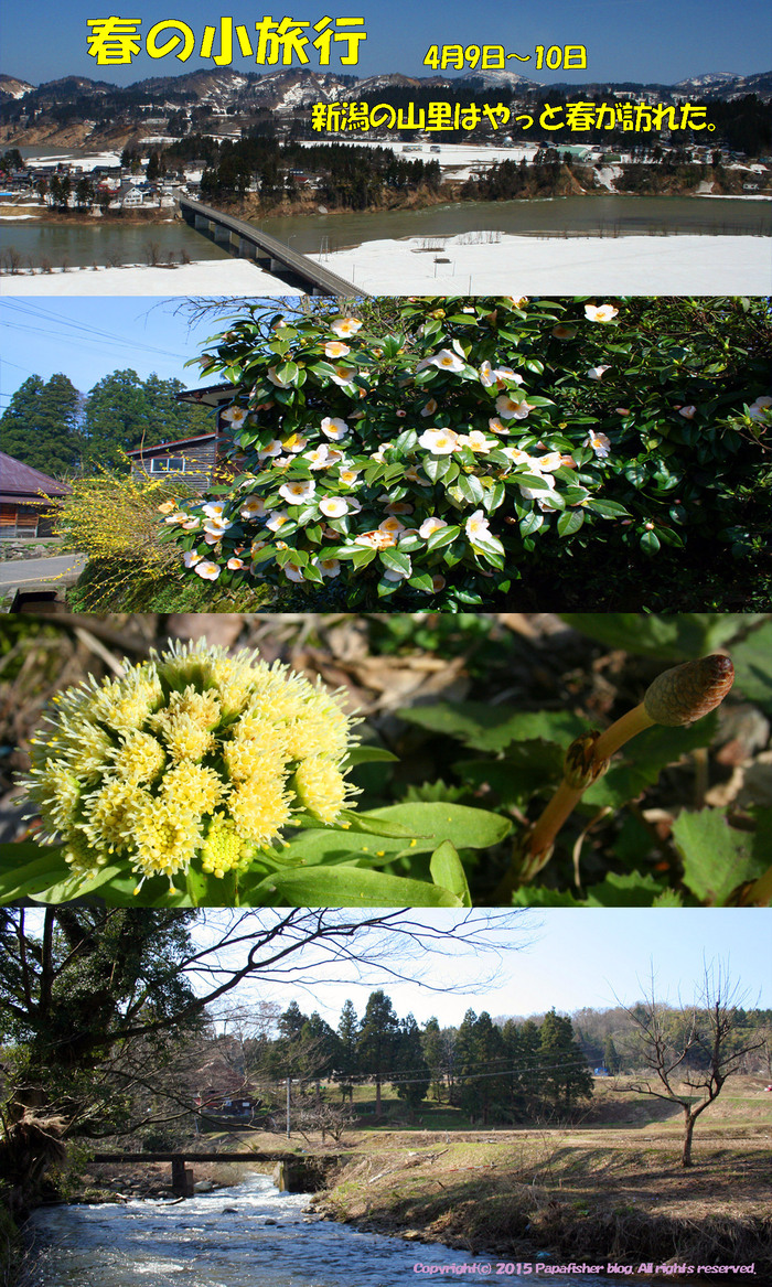春の小旅行