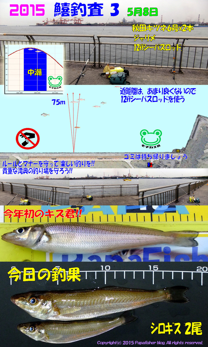 久しぶりのシーバスロッド
