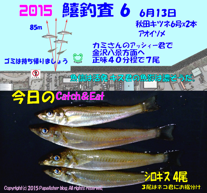 魚影は濃い!!