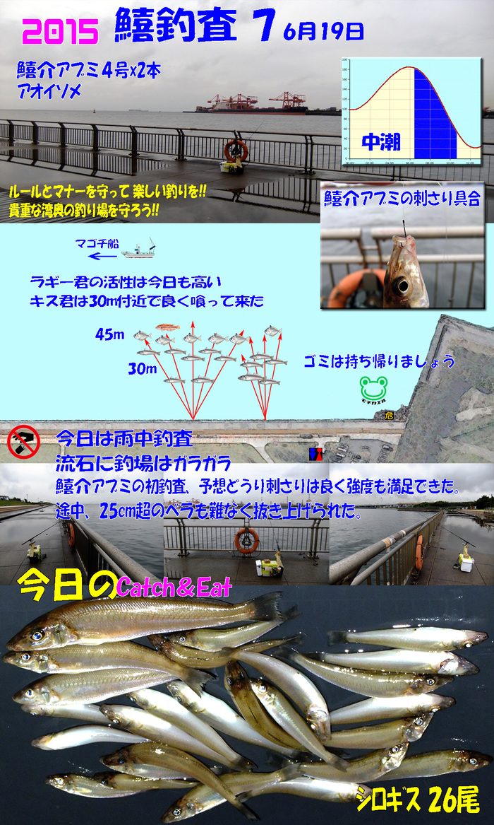 鱚介アブミ初釣査
