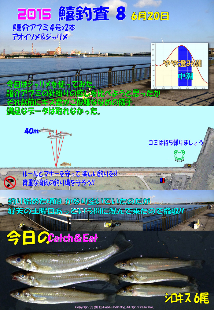 ジャリメで鱚介アブミ