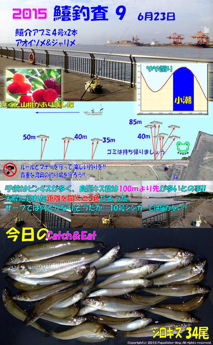 良型は5色!!