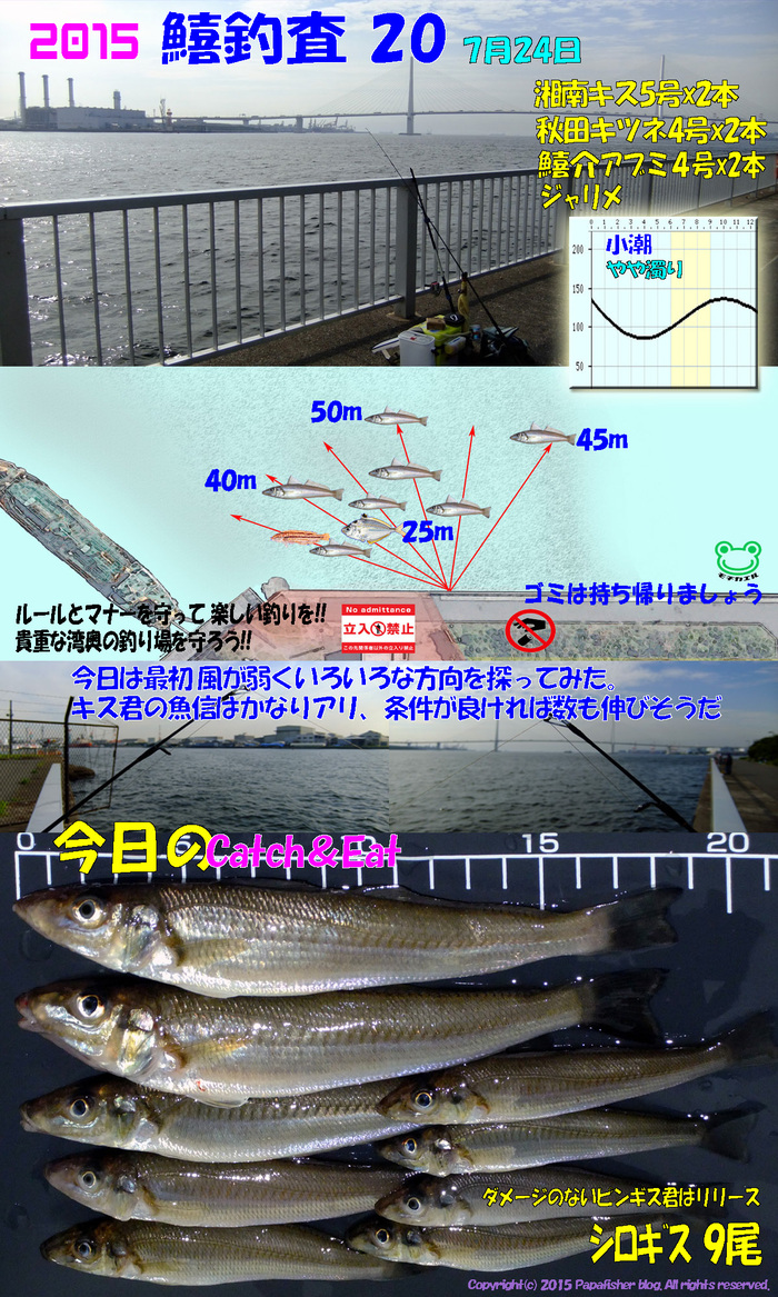 微風、魚信活発!!