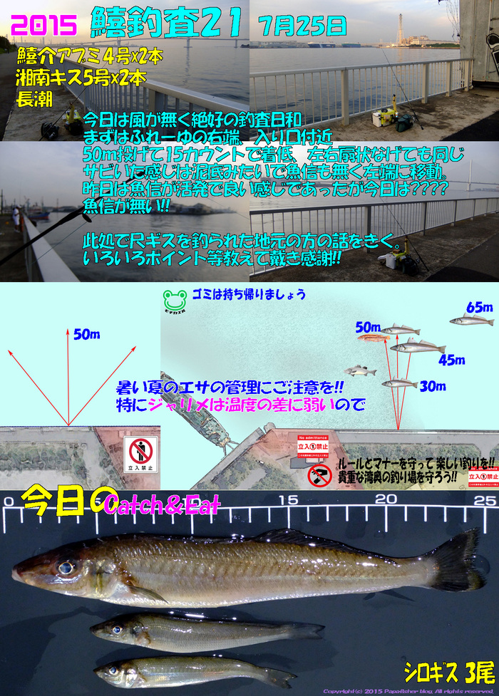 昨日と違い魚信が渋いが良型が