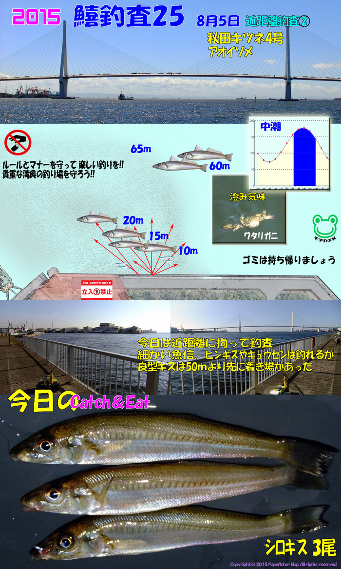 夏の海