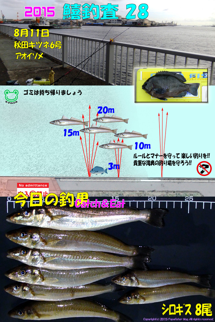 お盆休み釣査まとめ1