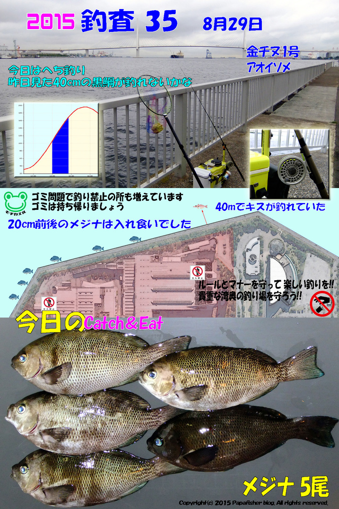 ５年ぶりのへち釣り