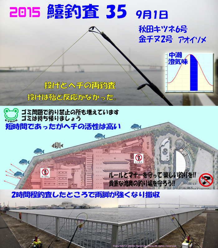 朝の短時間釣査