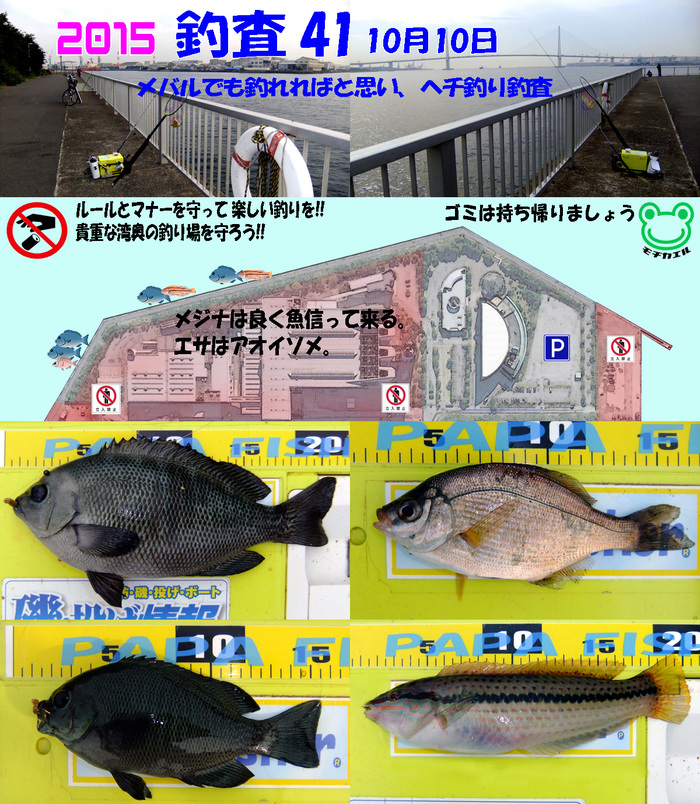 メバル釣れないかな。
