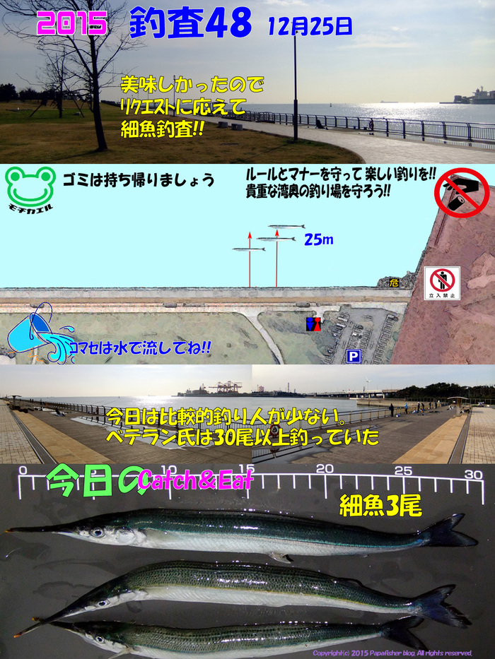 細魚釣査2