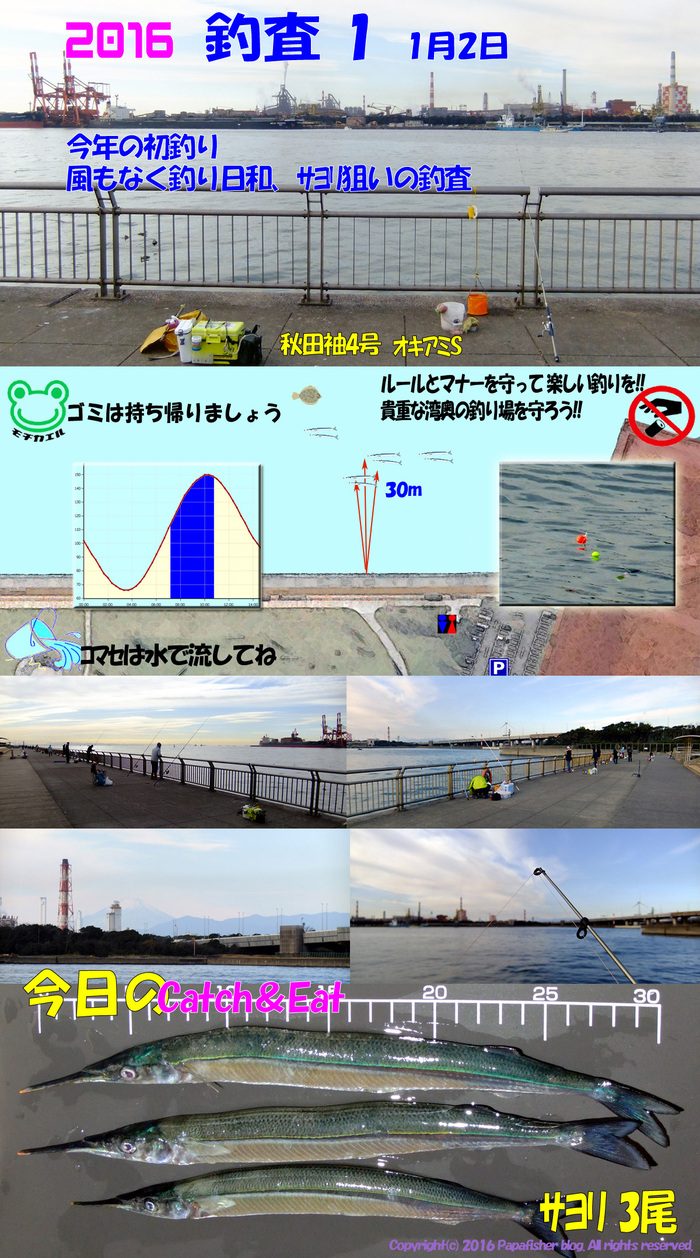 初釣り!!　サヨリ釣査