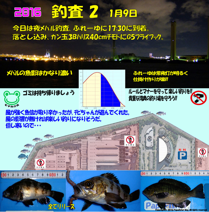 ふれーゆで夜メバル