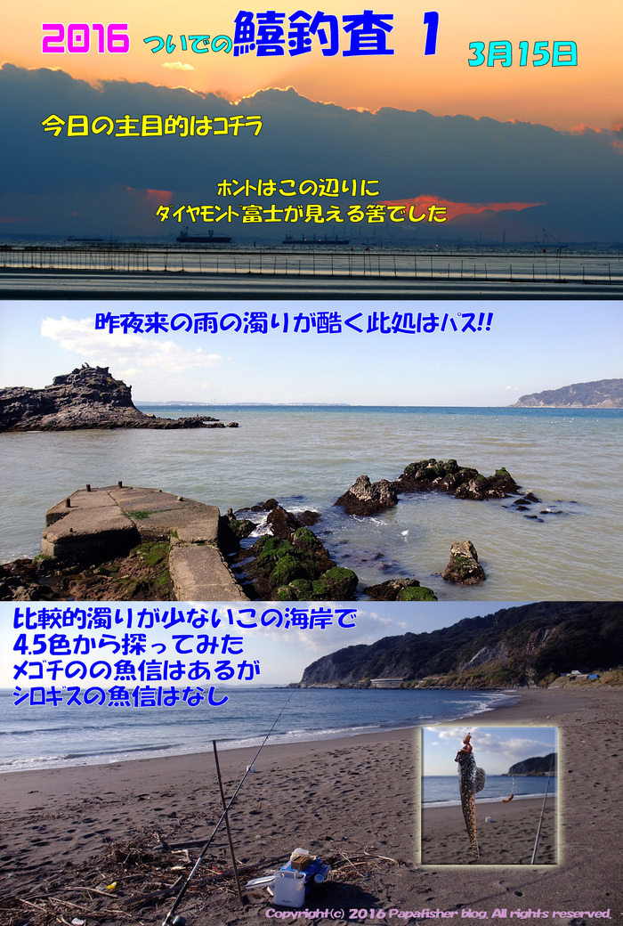 鱚釣査1