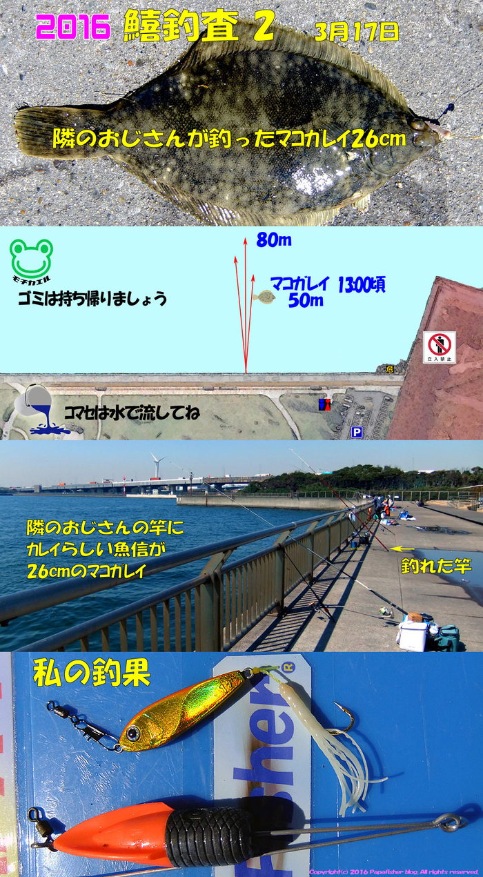 鱚が鰈に化けた??