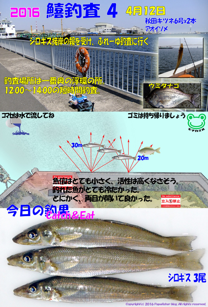 湾奥もシーズンイン