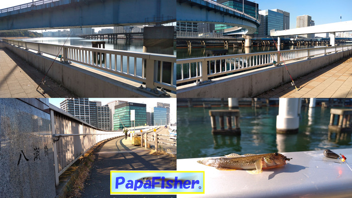 落ちハゼ釣査4