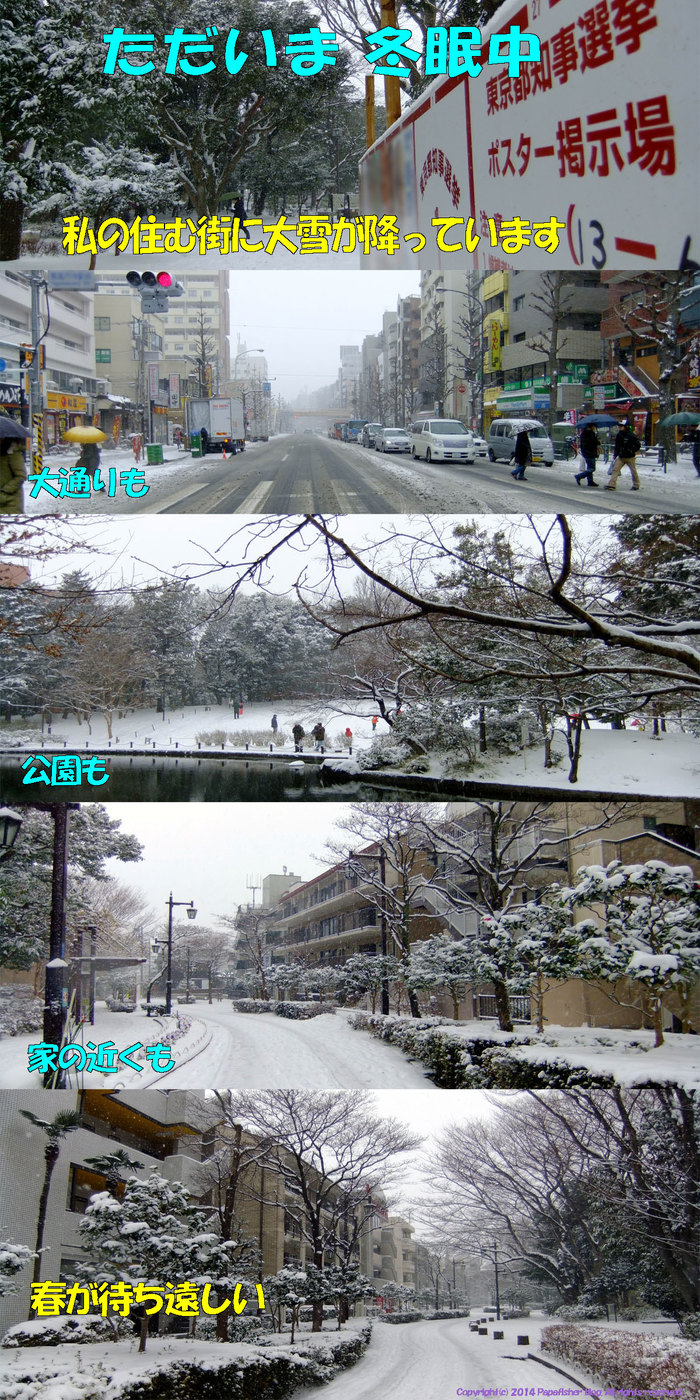 大雪の街