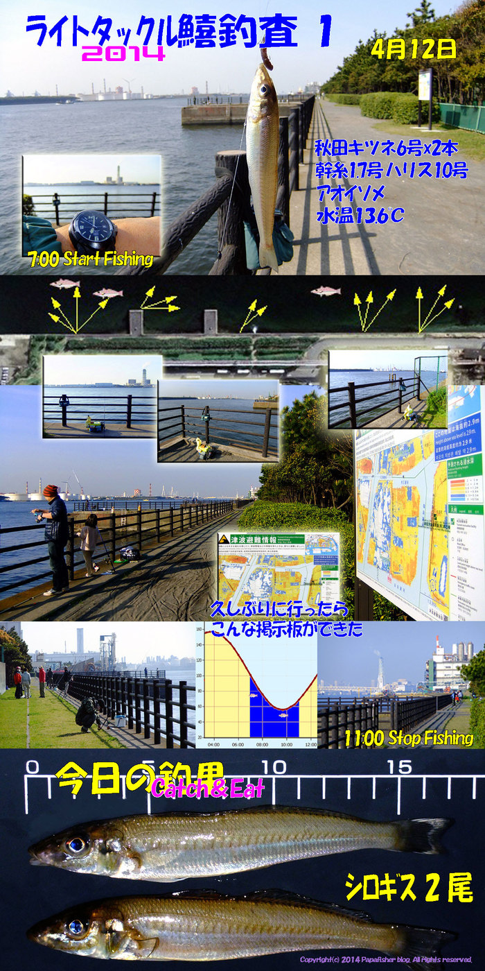 2014初鱚釣査