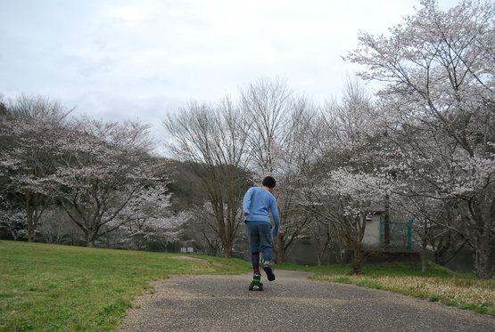 カントリーパーク大川 花見キャンプ
