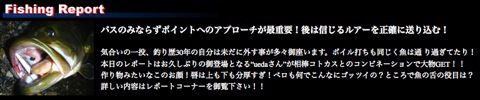 ★［琵琶湖］おかっぱり・9/27・コトカスでリベンジフィッシュ！！