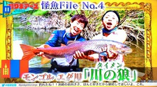 「釣りまアース」でサンシャイン池崎がタイメンを釣る