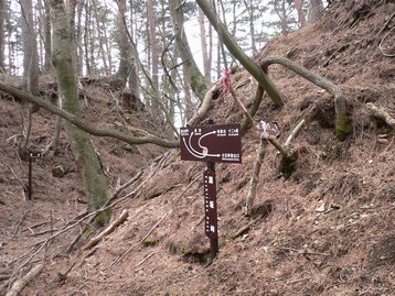 山梨県　河口湖　若彦トンネル近くから十二ヶ岳や節刀ヶ岳を周回