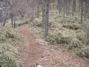 山梨県　河口湖　若彦トンネル近くから十二ヶ岳や節刀ヶ岳を周回