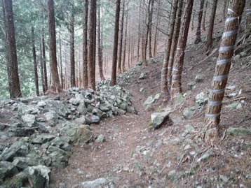 山梨県　河口湖　若彦トンネル近くから十二ヶ岳や節刀ヶ岳を周回