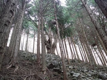 山梨県　河口湖　若彦トンネル近くから十二ヶ岳や節刀ヶ岳を周回
