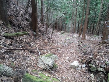 山梨県　河口湖　若彦トンネル近くから十二ヶ岳や節刀ヶ岳を周回