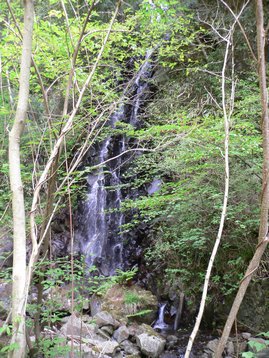神奈川県　子供たちと幻の柱状節理の滝へアドベンチャー　幕山