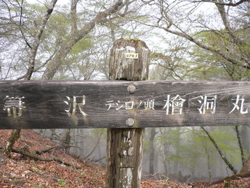 神奈川県　西丹沢の檜洞丸ｄｅシロヤシオ　