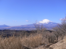 敗退ｄｅ矢倉岳　神奈川県南足柄市