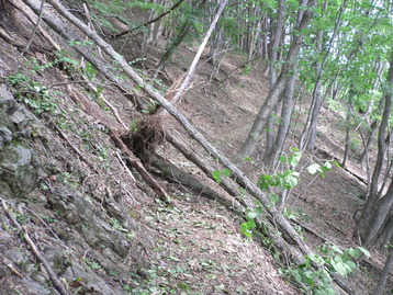 雨のテン泊ｄｅ雲取山　奥多摩
