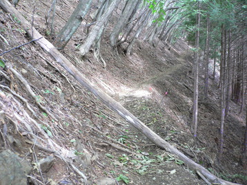 雨のテン泊ｄｅ雲取山　奥多摩