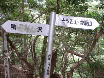 雨のテン泊ｄｅ雲取山　奥多摩