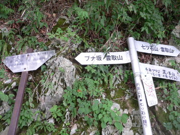 雨のテン泊ｄｅ雲取山　奥多摩