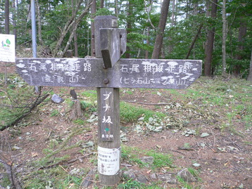 雨のテン泊ｄｅ雲取山　奥多摩