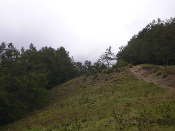 雨のテン泊ｄｅ雲取山　奥多摩