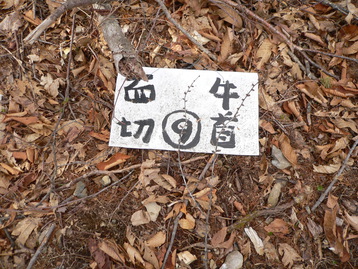 残雪ｄｅテン泊　池口岳北峰　南アルプス深南部