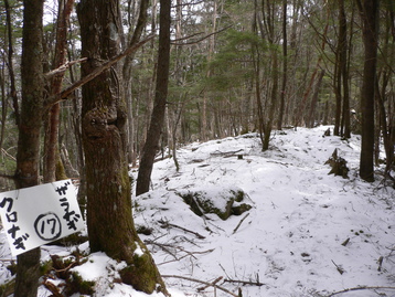 残雪ｄｅテン泊　池口岳北峰　南アルプス深南部